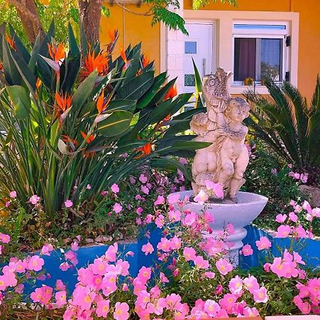 Iris Apartment Near Corfu Town 库托卡利恩 外观 照片