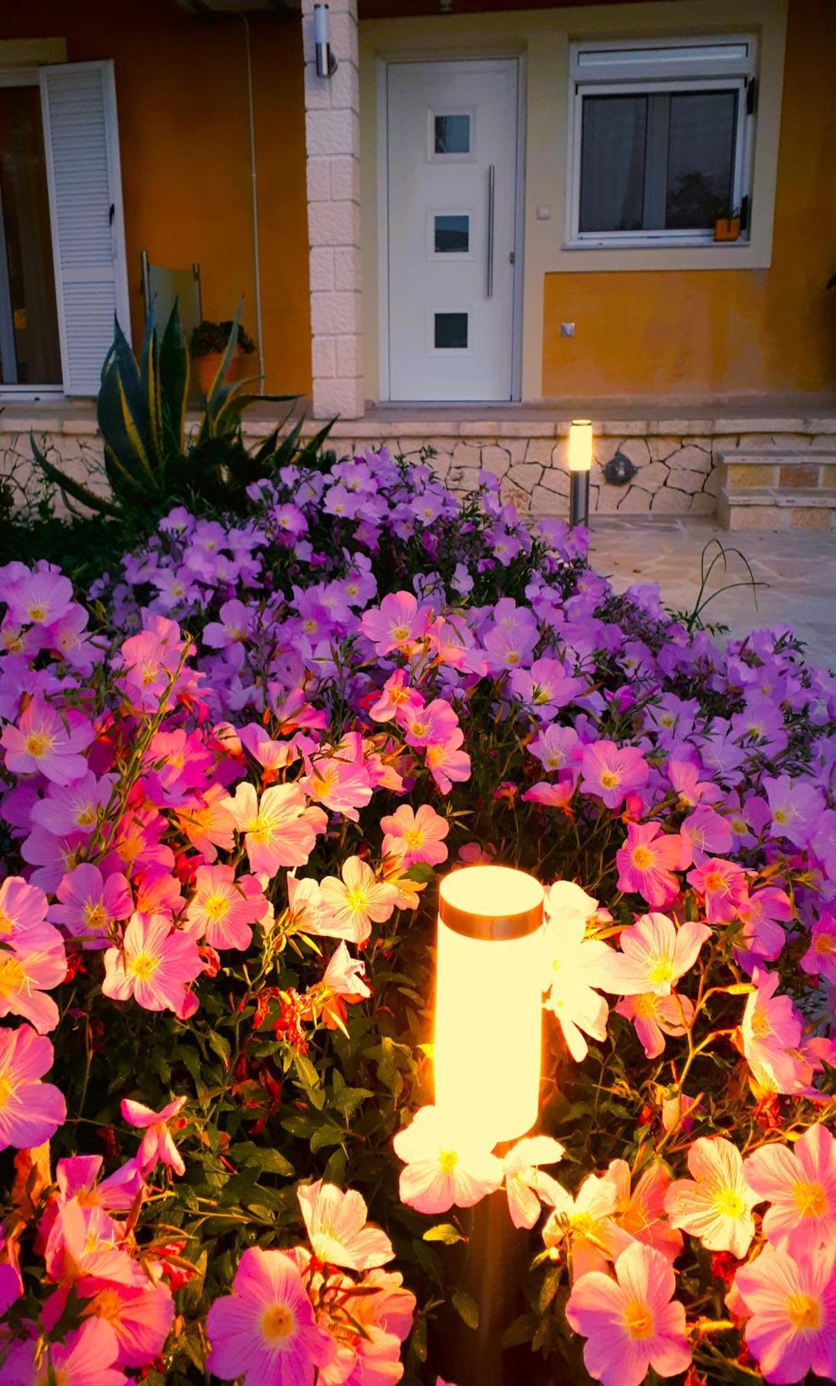 Iris Apartment Near Corfu Town 库托卡利恩 外观 照片