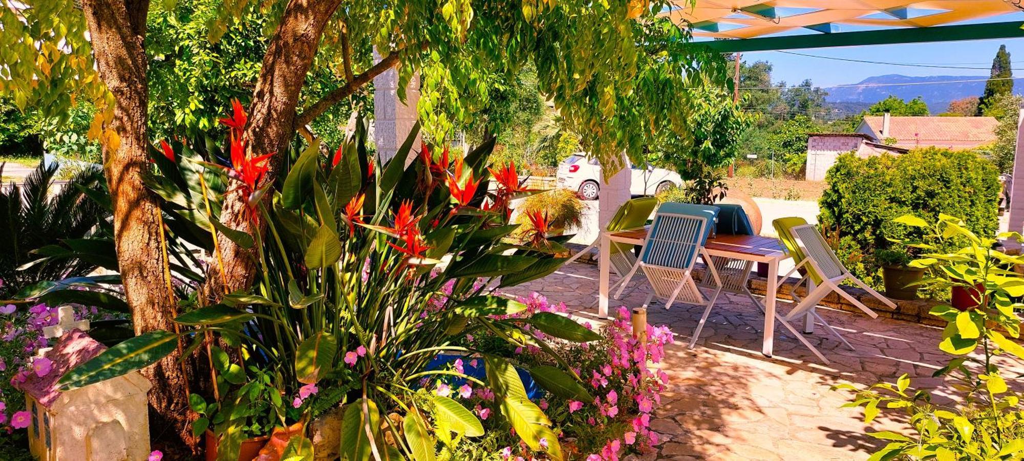 Iris Apartment Near Corfu Town 库托卡利恩 外观 照片